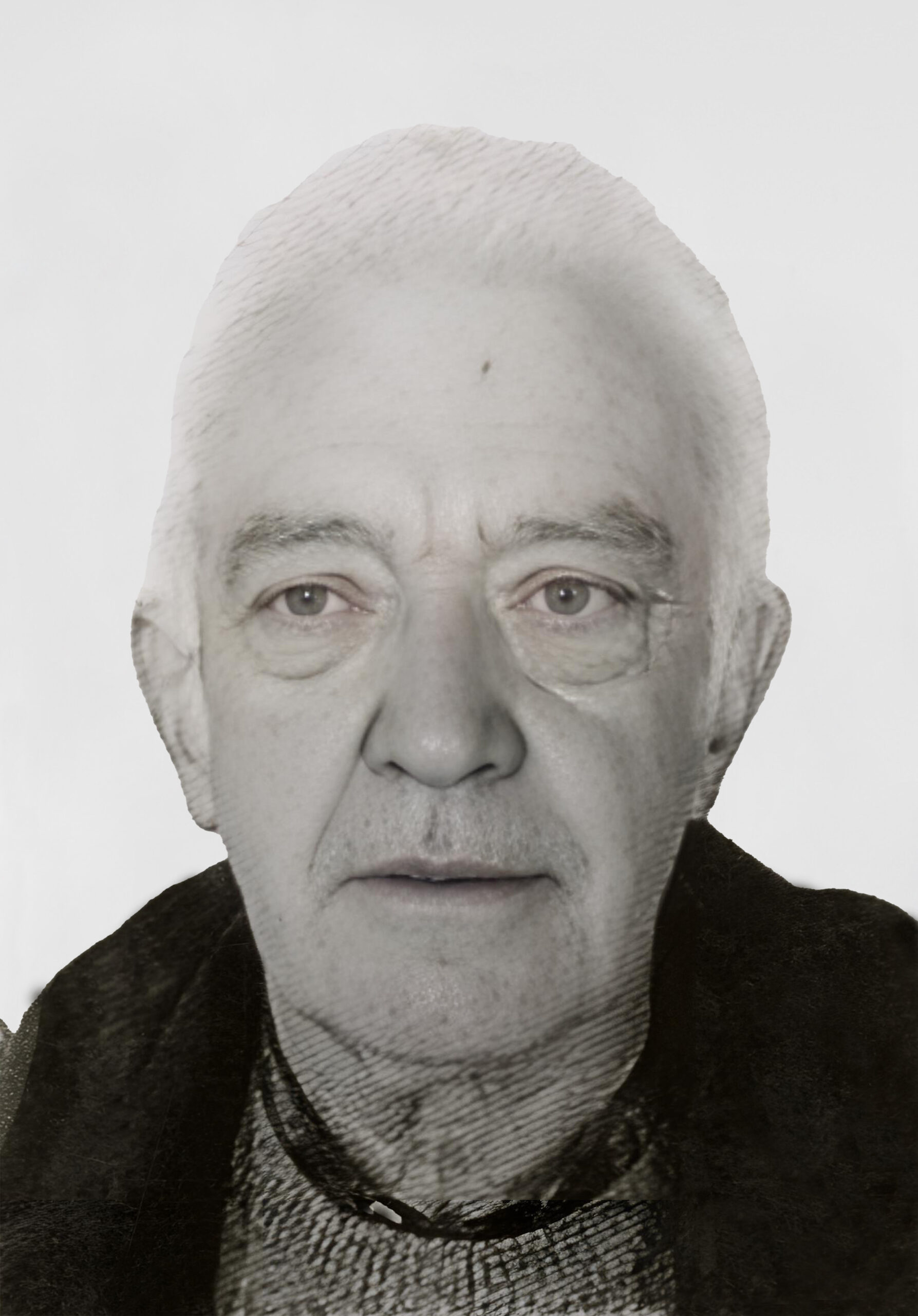 PEDRO FERNANDO RIBEIRO DE CARVALHO