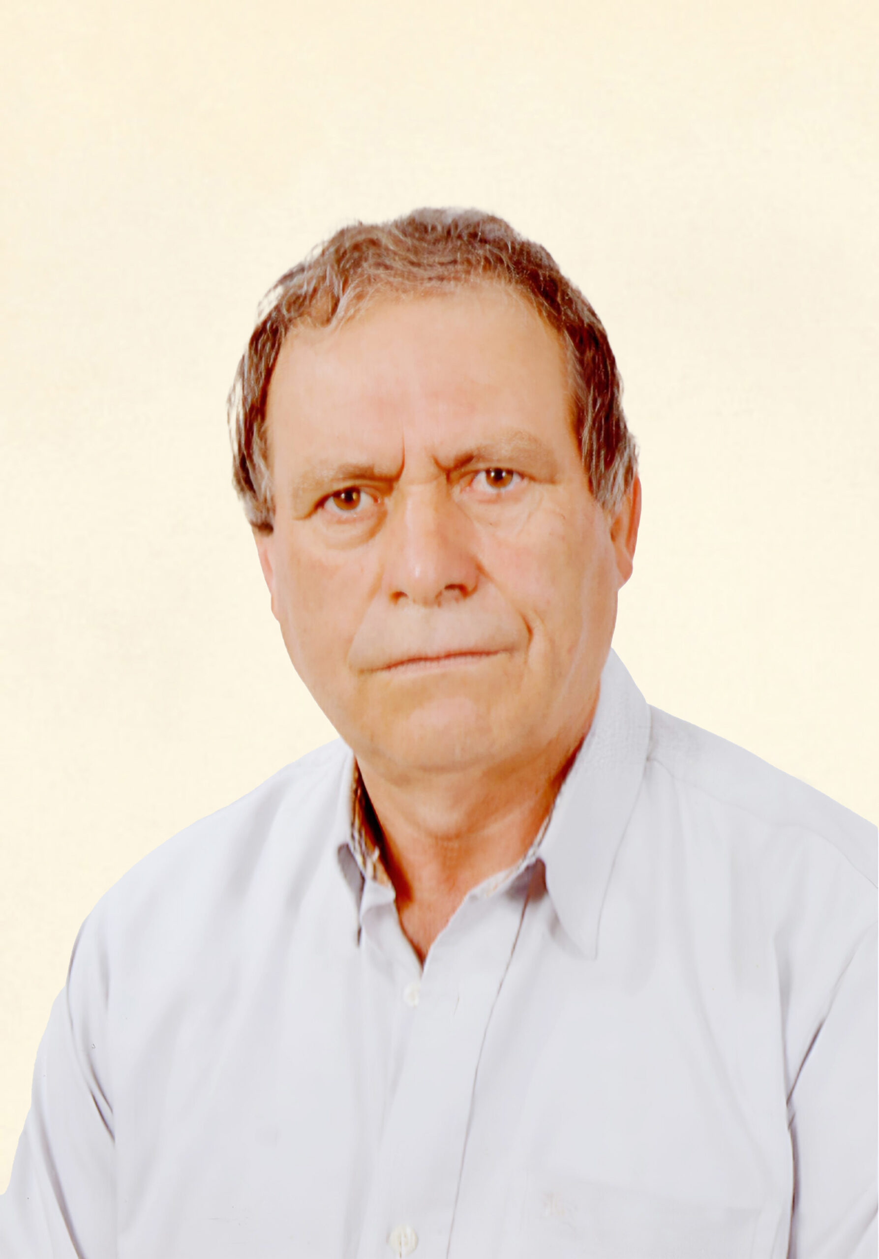 ALEXANDRE DOS SANTOS BORGES