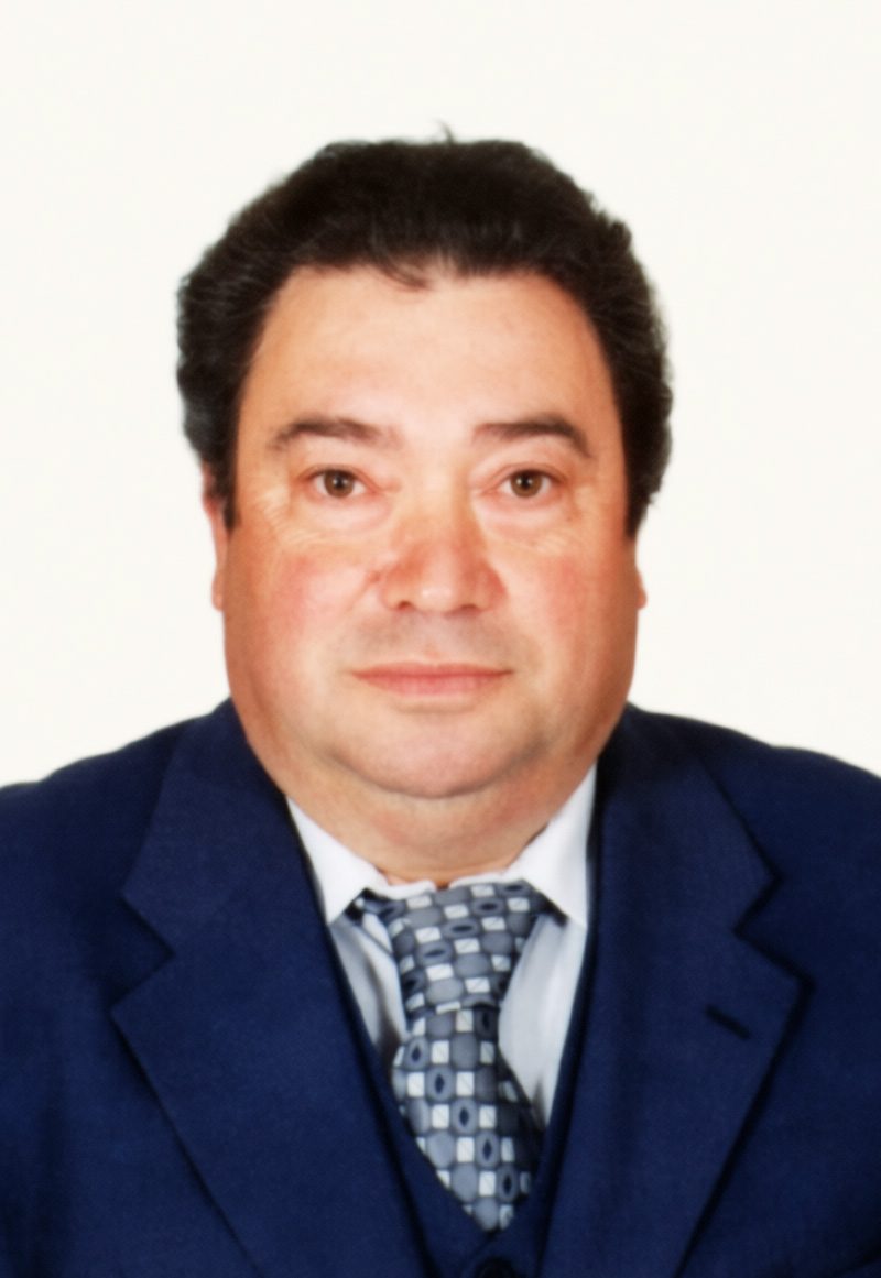 MANUEL MARTINS FERNANDES